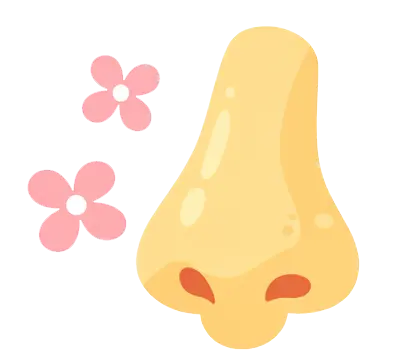 sense of smell graphic