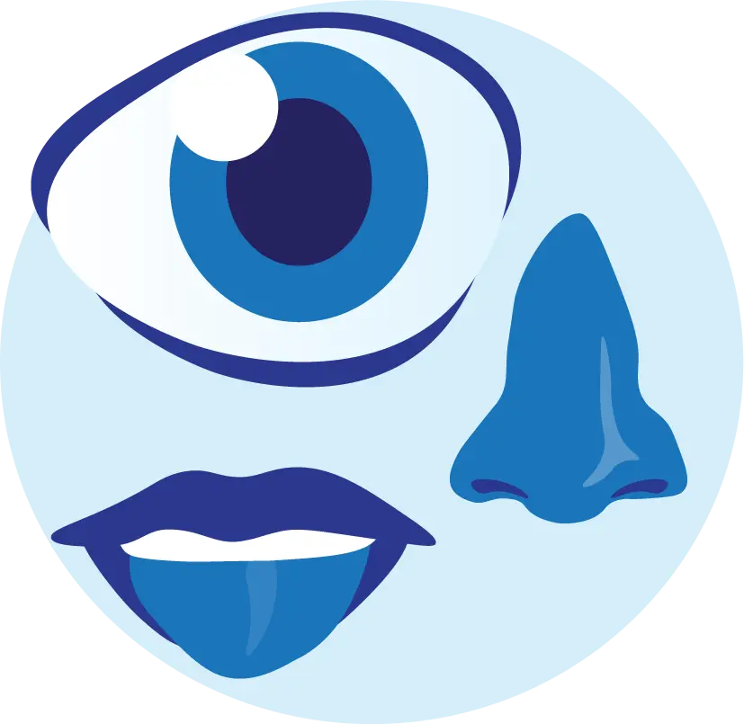 senses graphic with eyes nose and mouth