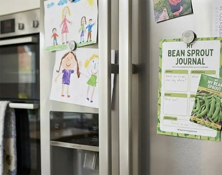 parent newsletters on a refrigerator